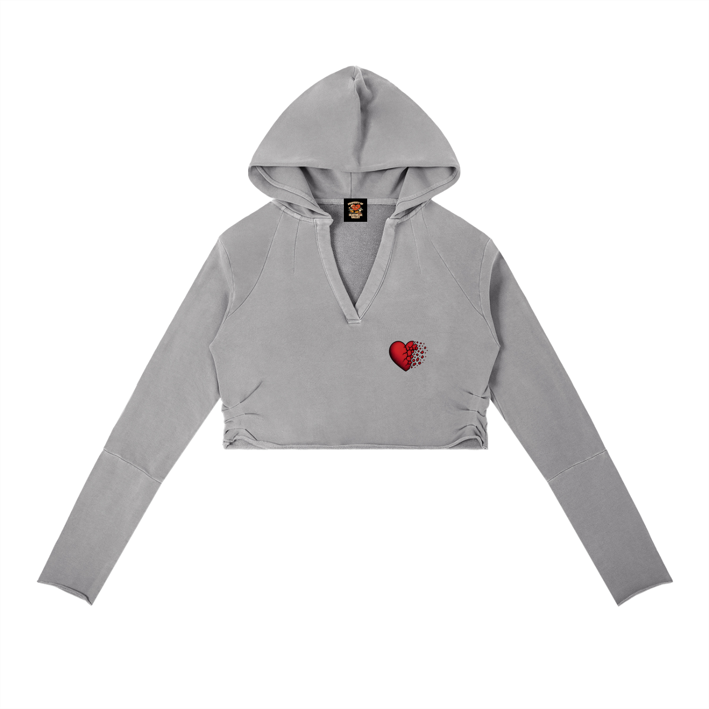 Vintage Valley Cropped Hoodie Set